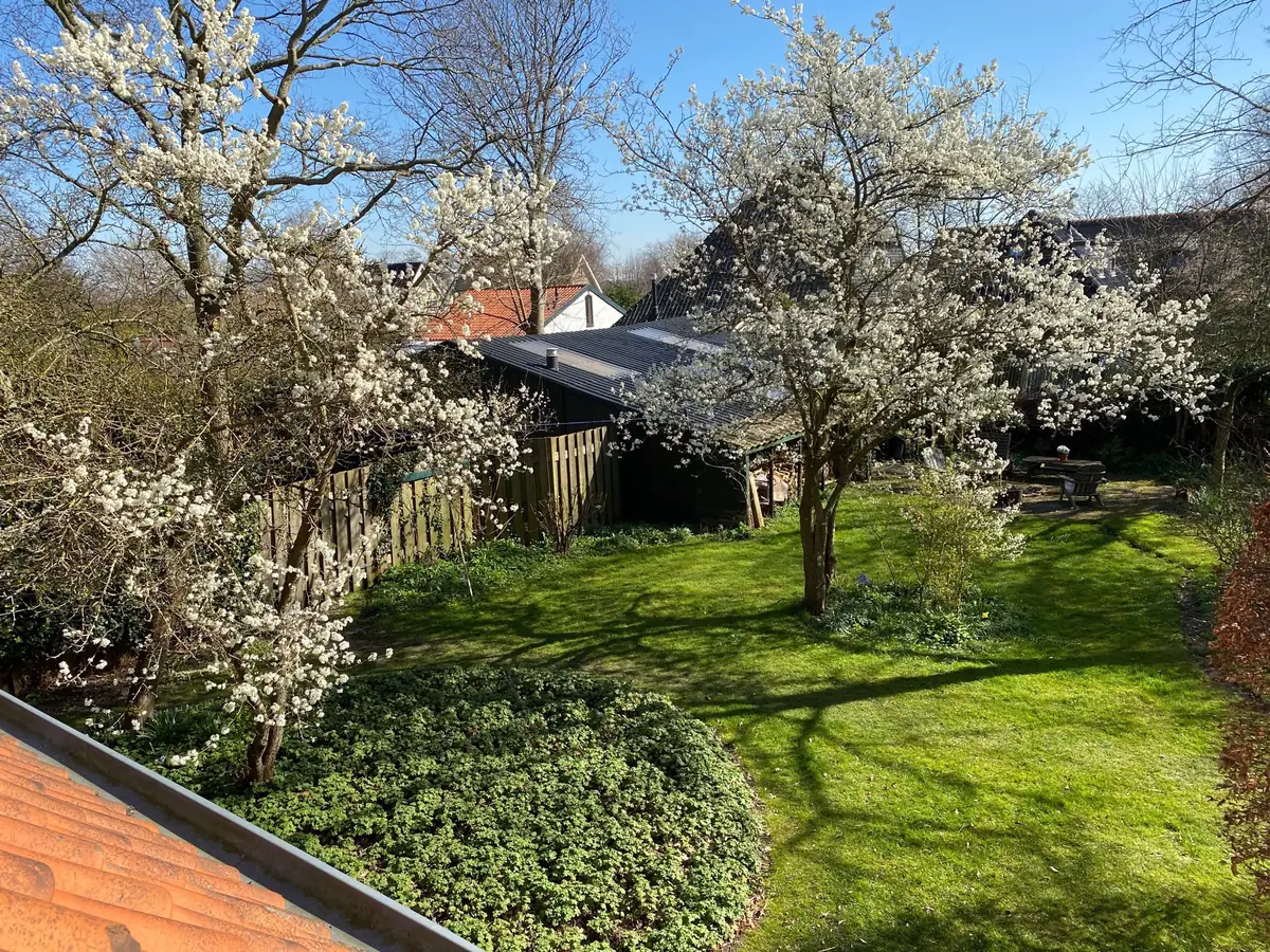 Voorjaarsbloesem in de boerentuin