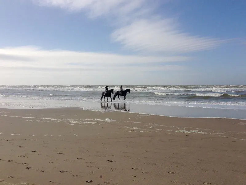 Ruiters op het strand