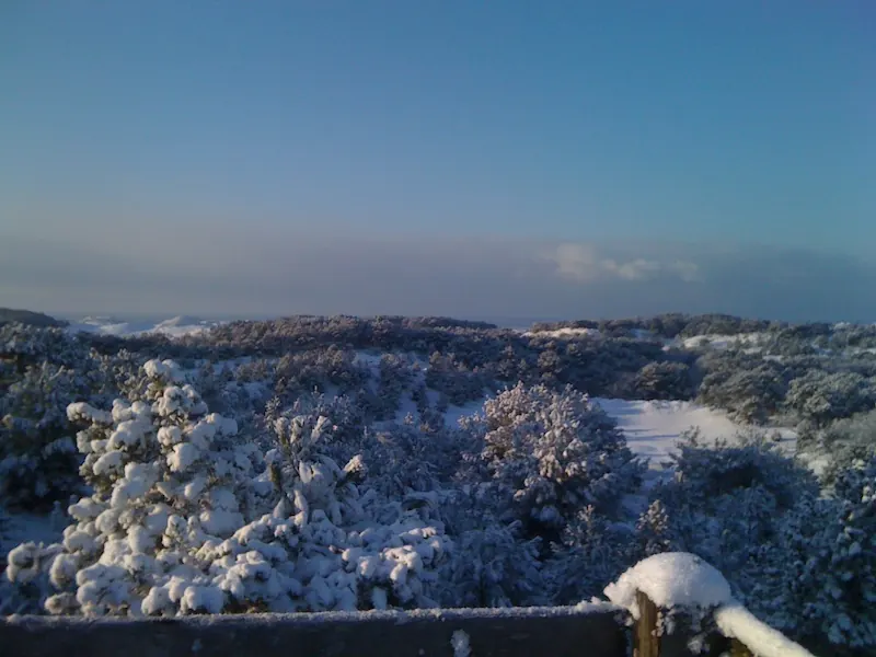 De besneeuwde duinen bij Groet