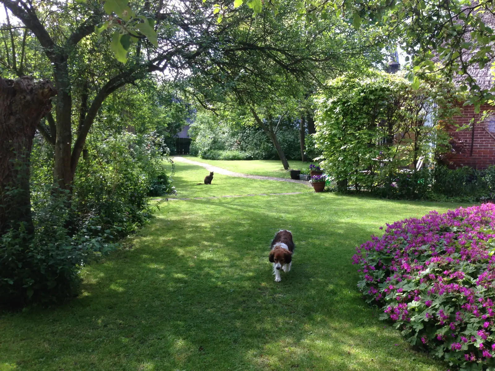 Tuinpad door de boerentuin
