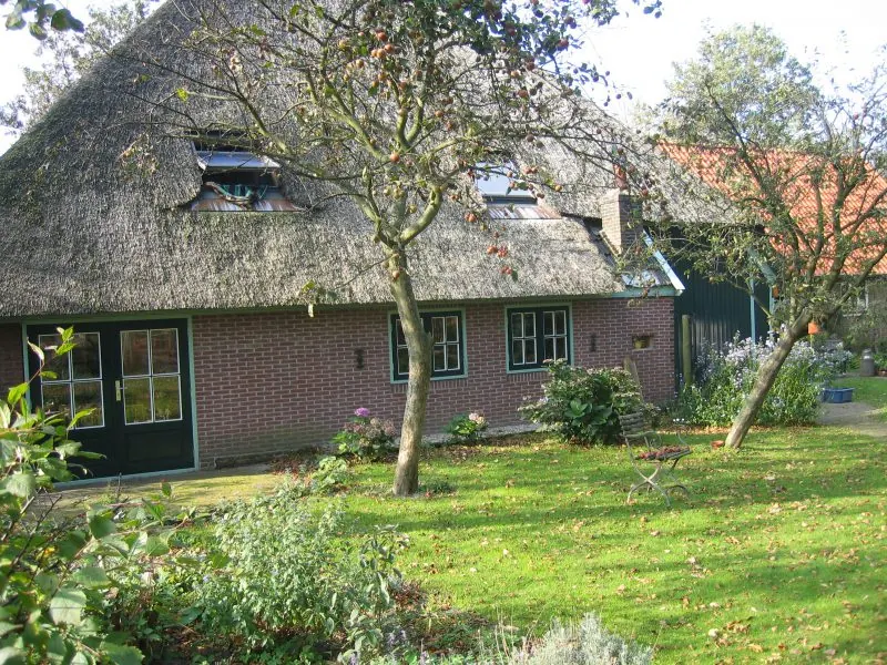 De rieten kap van Roos & Linde vanuit de tuin